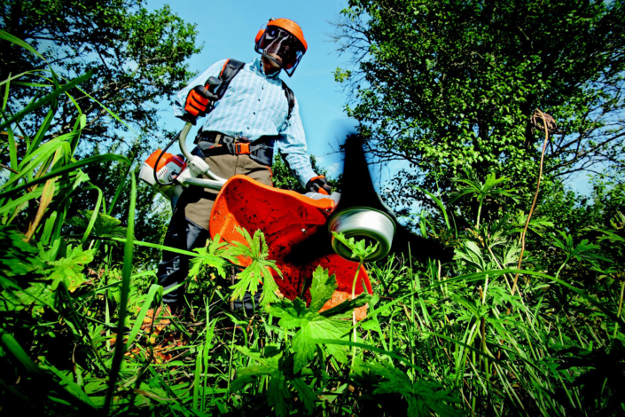 Jardinier Pessac : entretien des espaces verts