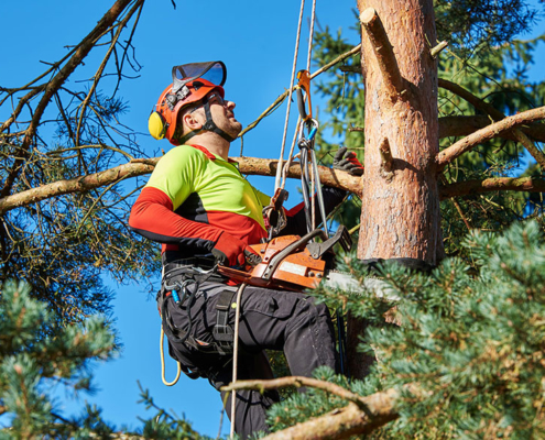 Entreprise rénovation Pessac Destreich
