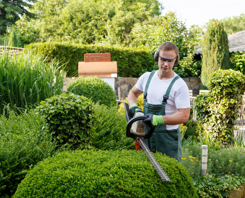Entretien des espaces verts à Pessac 33600